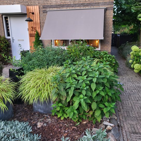 zonnescherm doek hulsberg