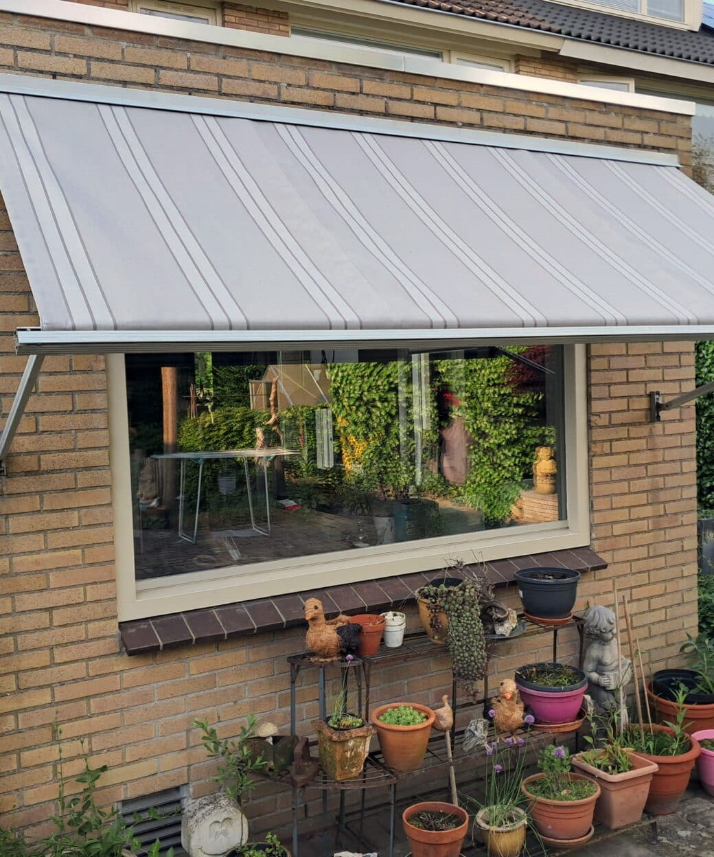 T285 TIbelly collectie